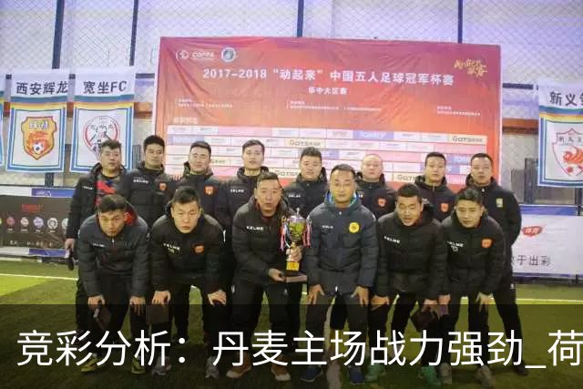 竞彩分析：丹麦主场战力强劲 荷兰客场胜算高